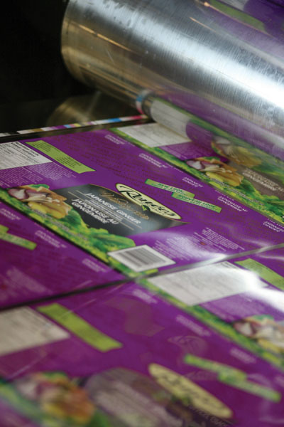 Pw 5918 Renees Img 1900