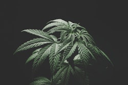 Cannabis Machines
