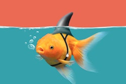 how to get PACK EXPO leads