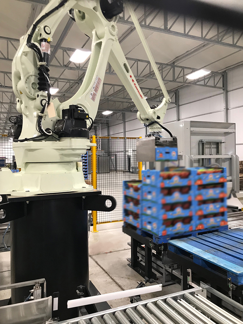 With new end-of-arm tooling designed by Caxton Mark, the Kawasaki palletizer is able to grab and stack boxes without crushing the fragile tomatoes inside.