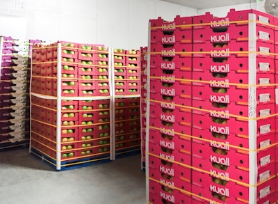 Fruta-Exporta and Squid Ink are currently working on developing a box counting function to estimate payment for packers, on using the production data acquired through a software, and on process optimization in all packaging lines.