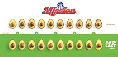 Use of the AvoLast sachet in avocado packaging is said to increase the ripe shelf life of Hass avocados by two to four days.