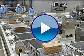 Servo Case Conveyor Multi Conveyor Blueplay