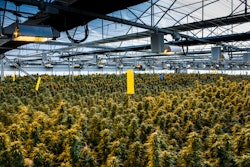 Screen Shot 2021 02 24 At 4 50 39 Pm