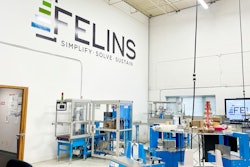 Felins Inside Wall