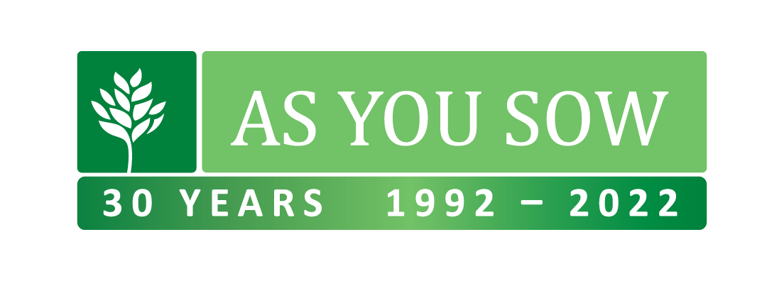 Ays Logo Web