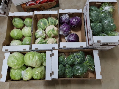 BrimaPack Sustainable Packaging