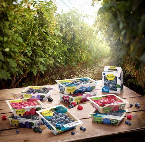 Driscoll's sustainable packaging material.