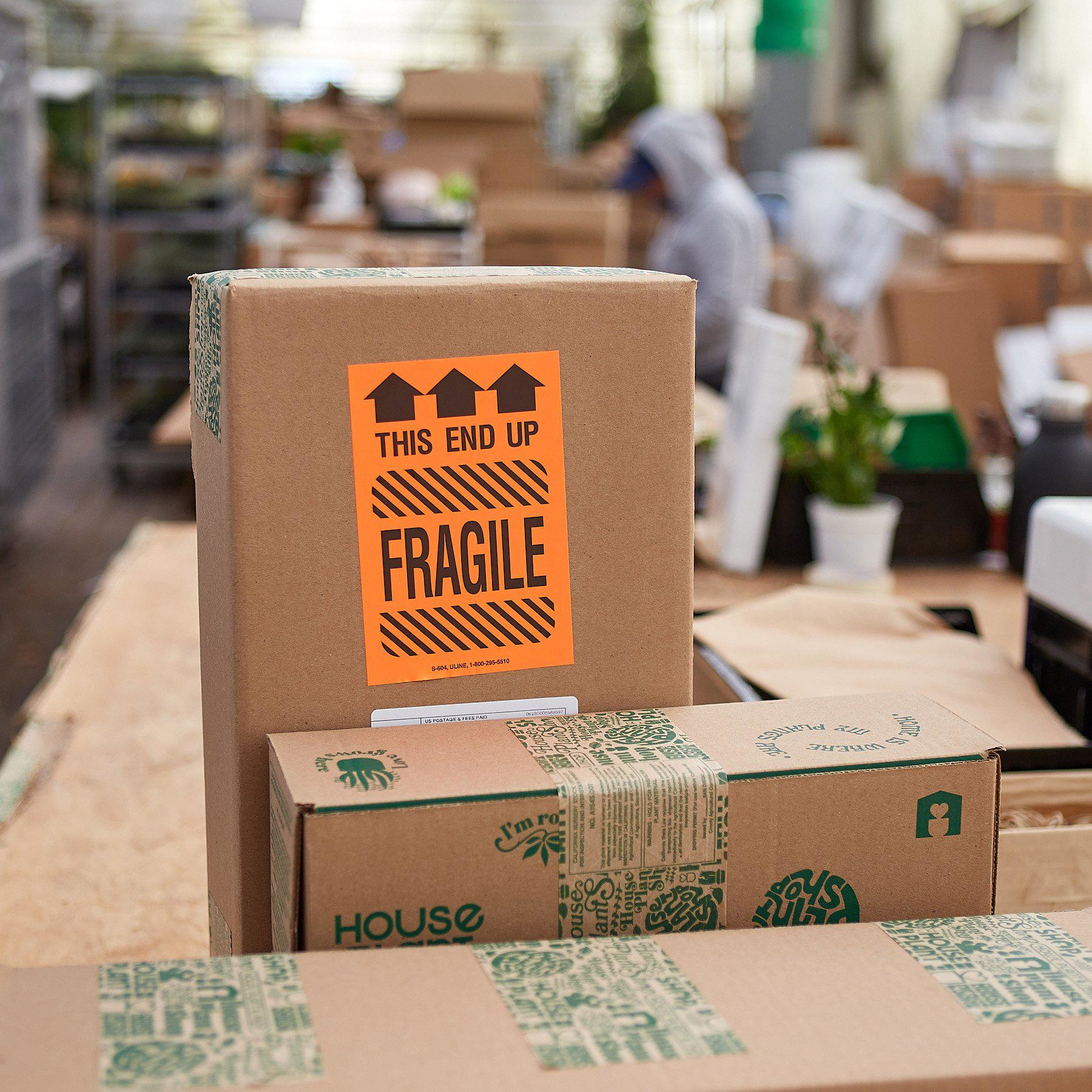 Beyond robust packaging to withstand the D2C supply chain, custom branding was a bonus, as all products are packaged in boxes designed with the House Plant Shop logo, taped with paper-based branded tape, and more.