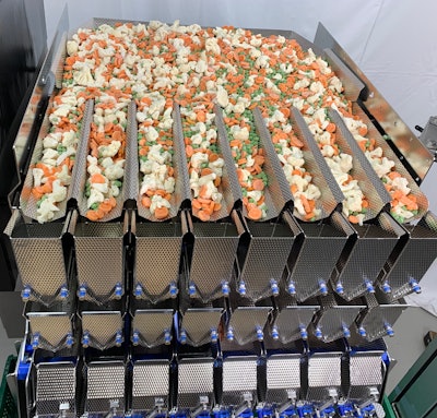 Newtec Weighing Machine Frozen Mixed Vegetables 2008 Pcm Memory Pans