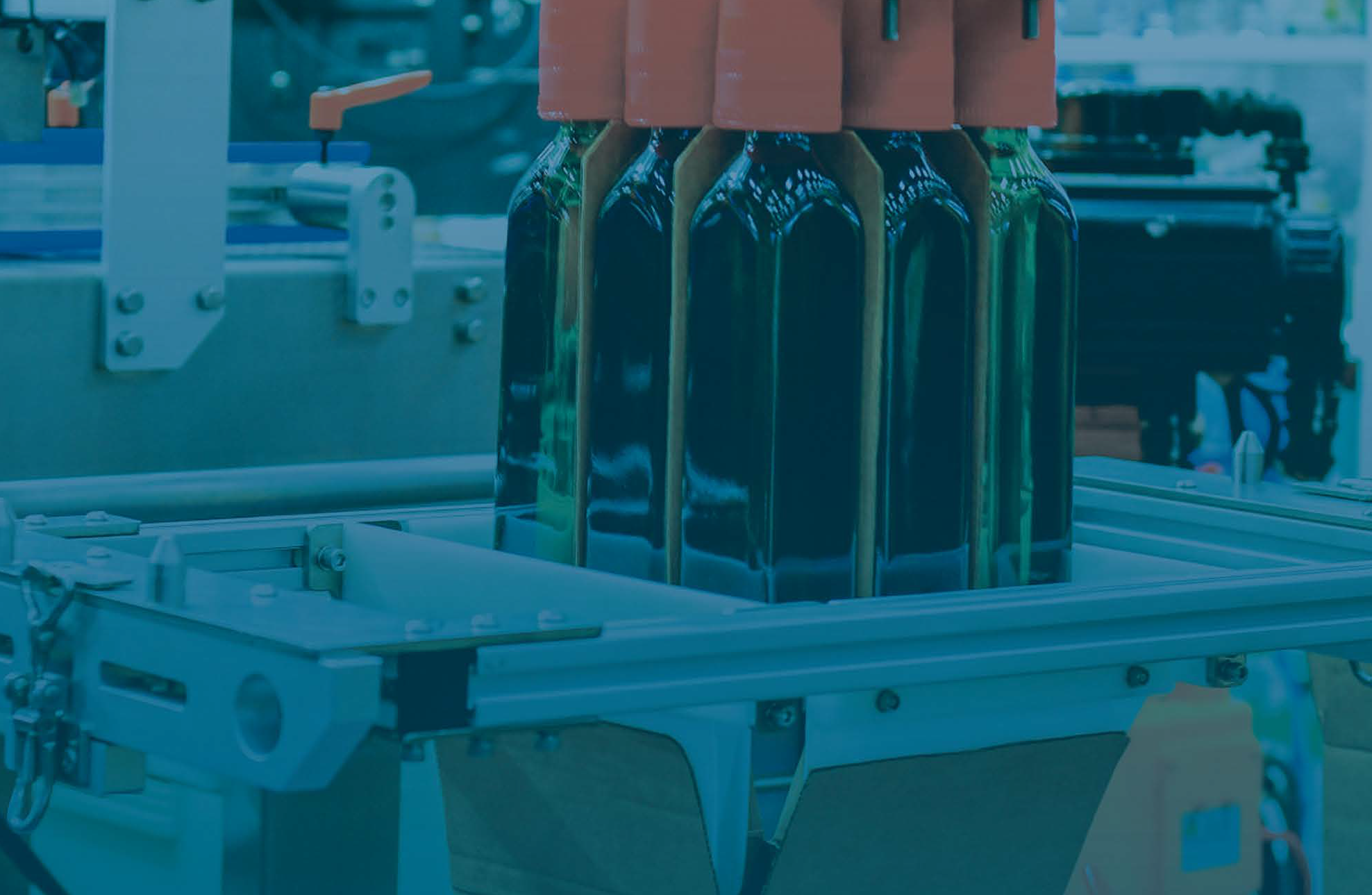 Nearly 1/5 (19%) of CP/CMs say secondary packaging is a source of bottlenecks.