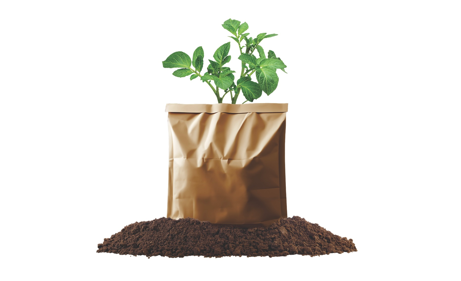 The bio-based bag is said to be a proprietary blend formulated and tested to pass OCC [Old Corrugated Container] acceptance testing. Photo courtesy of Lamb Weston.