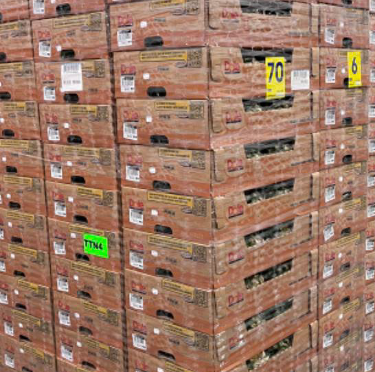 Weekly plastic reduction figures are expected to reach 7,920 kg for each fruit line, totaling more than 15,800 kg of plastic savings per week.