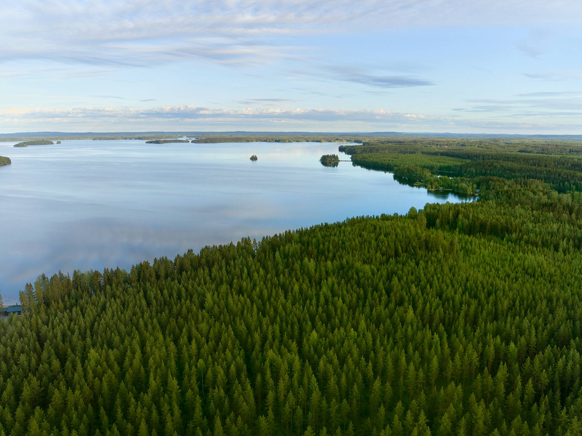 Metsä Forest Shoot Summer Day 3 1629 Web