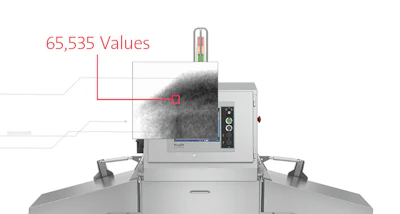 Eagle Pi Dual Energy X Ray Inspection
