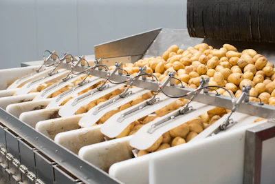 Royal Avebe makes a range of ingredients created from potatoes the company grows itself.