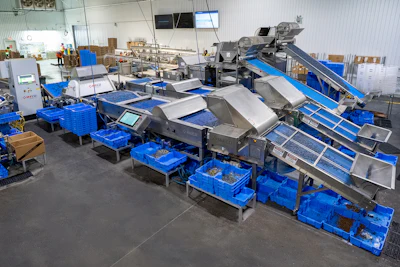 H&A Farms uses WECO cleaning and sorting equipment across all seven of its fresh-pack blueberry lines. Two lines are configured around WECO’s modular Sortivator platform.