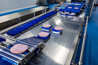 Provisur Formax Fms Sliced Meat