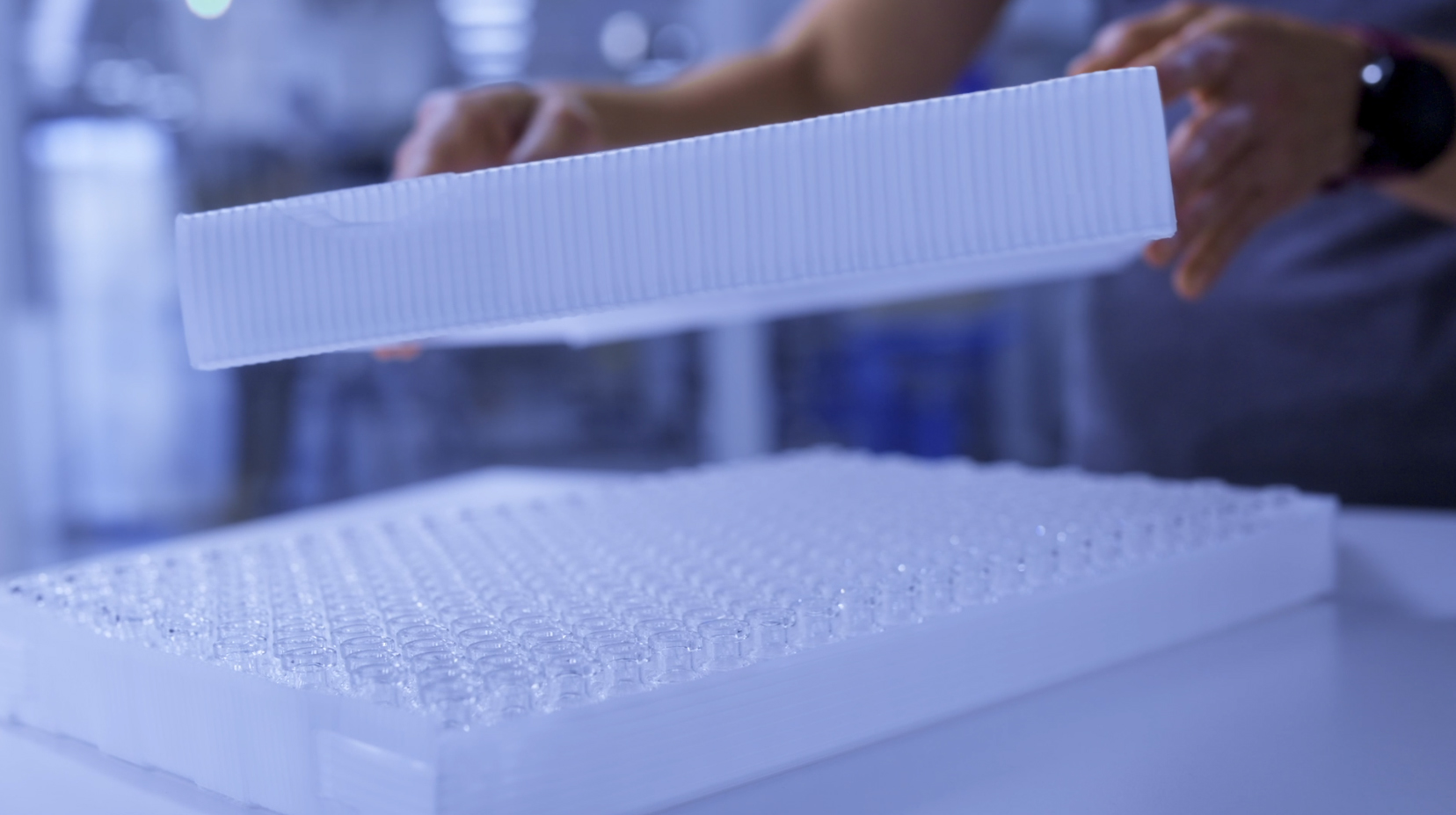 Laboratory technician handling a microplate with multiple wells during scientific analysis