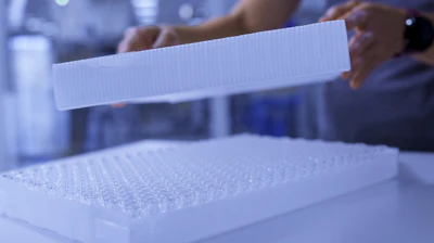 Laboratory technician handling a microplate with multiple wells during scientific analysis
